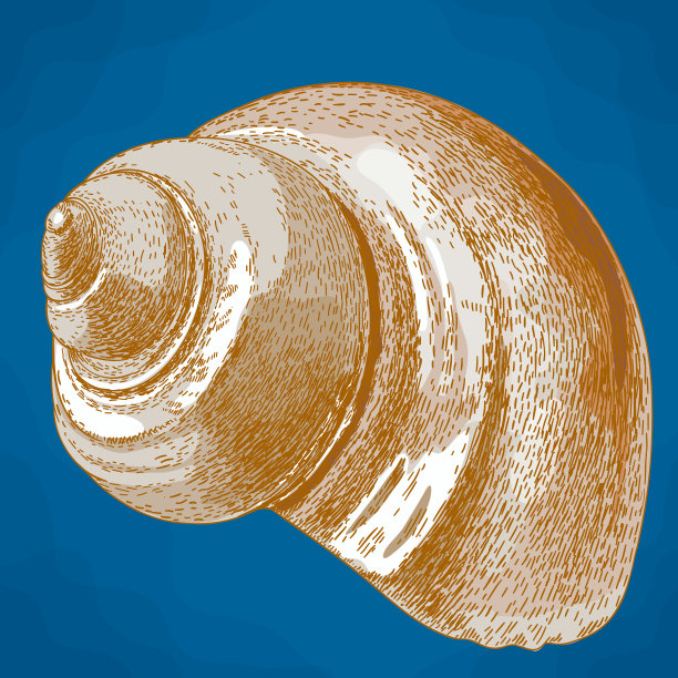 蜗牛矢量图
