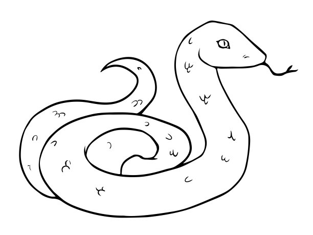 snake