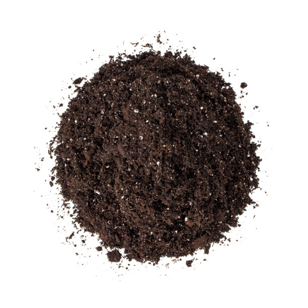 dirt