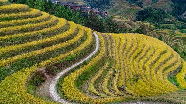 桂林山水风景