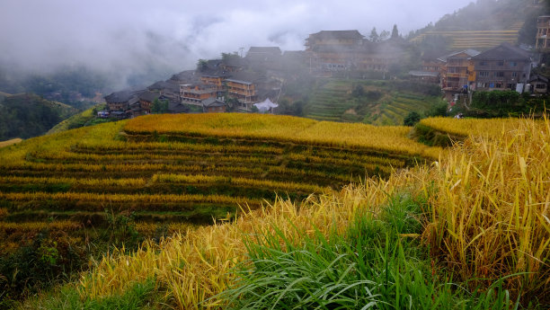 乡下风景