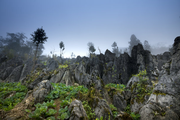 高原大山