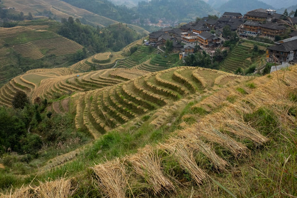 桂林山水全景