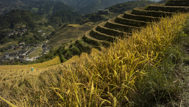 桂林地标建筑