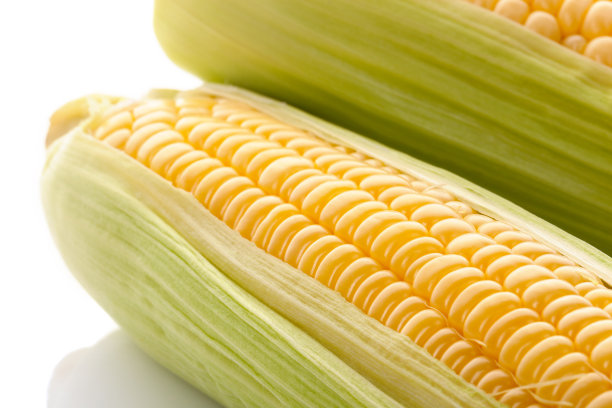 maize