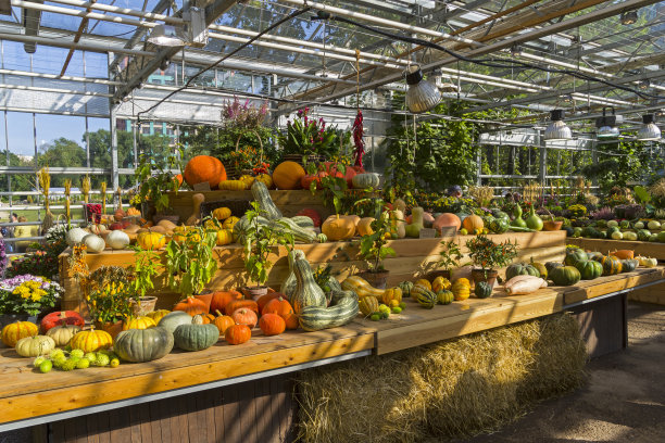 greenhouse