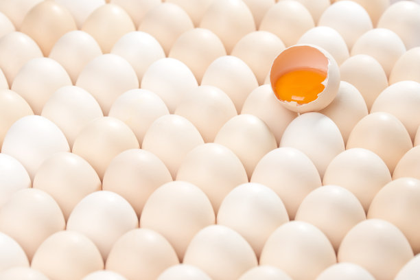 yolk