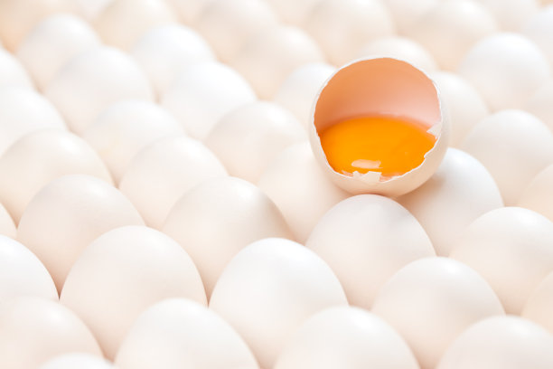 yolk