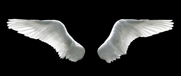 angel
