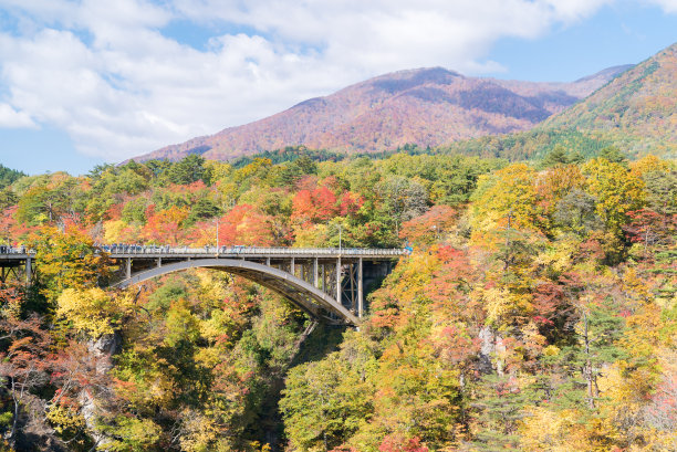 宫城县