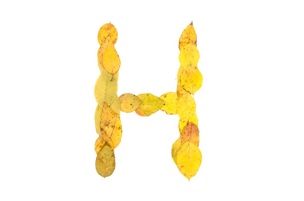 字母h英文h标志