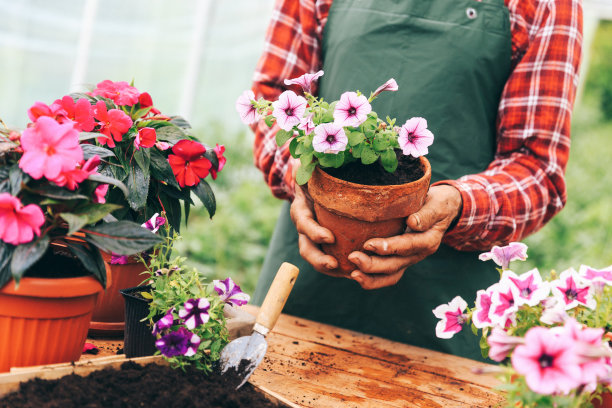horticulture