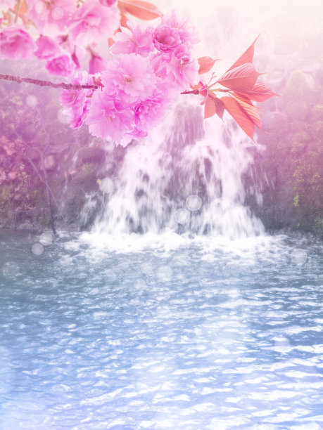 喷泉与樱花