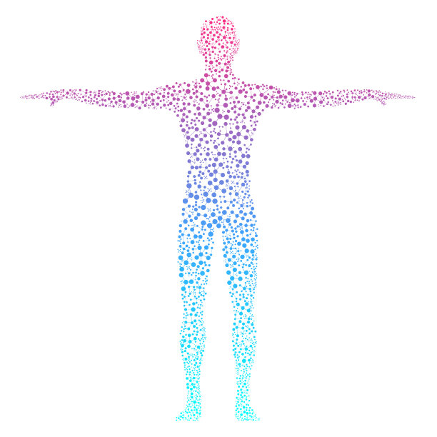 body