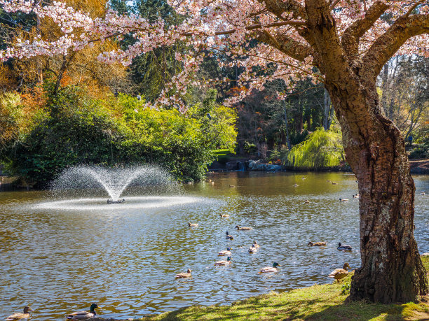 ponds