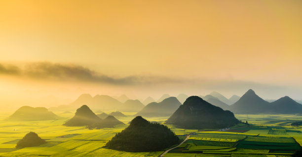 云南油菜花