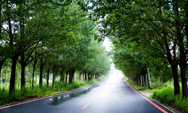 雨天的乡村道路美景