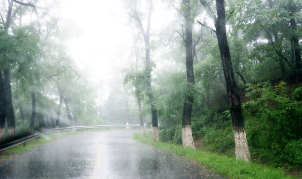 雨后宁静的路