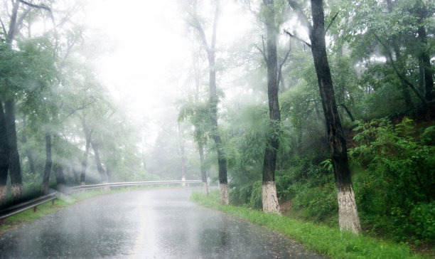 雨天的乡村道路美景