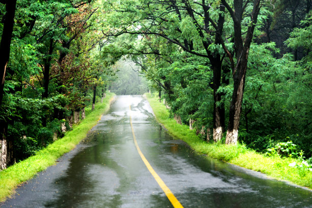 雨天的乡村道路美景