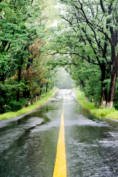 雨天的乡村道路美景