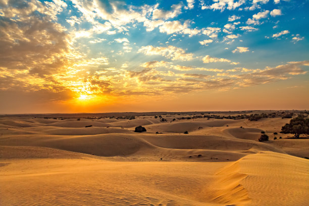 desert