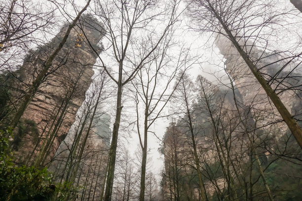 幻想风景图片大全 幻想风景设计素材 幻想风景模板下载 幻想风景图库 昵图网soso Nipic Com