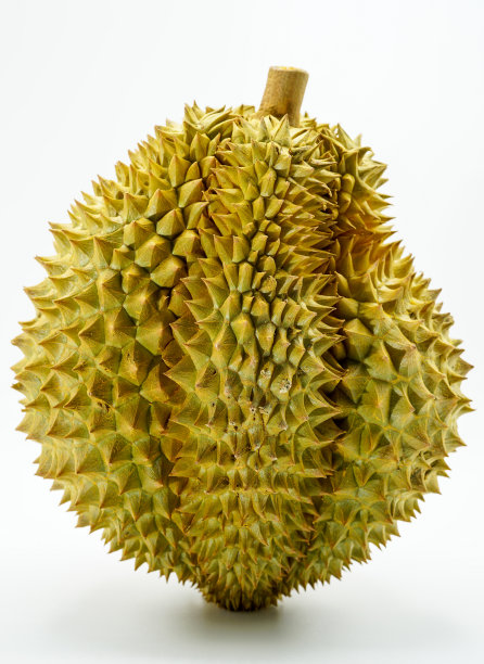 durian