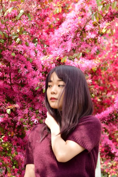路边绿植图片大全 路边绿植设计素材 路边绿植模板下载 路边绿植图库 昵图网soso Nipic Com 路边绿植图片大全 路边绿植设计素材 路边绿植模板下载 路边绿植图库 昵图网soso Nipic Com