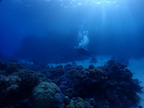 从在水肺潜水的角度拍摄