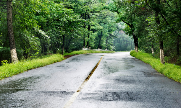 雨天的乡村道路美景