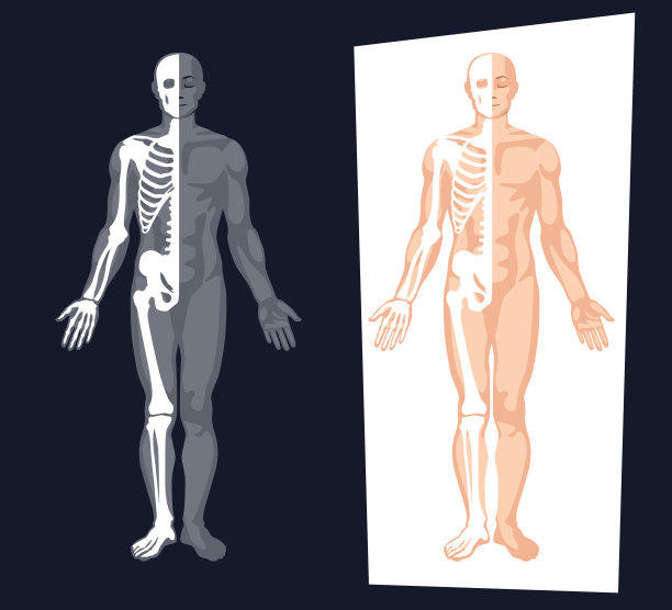 skeleton