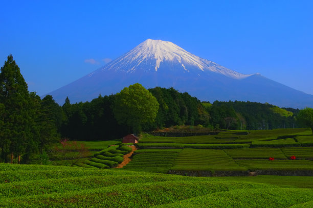 富士市