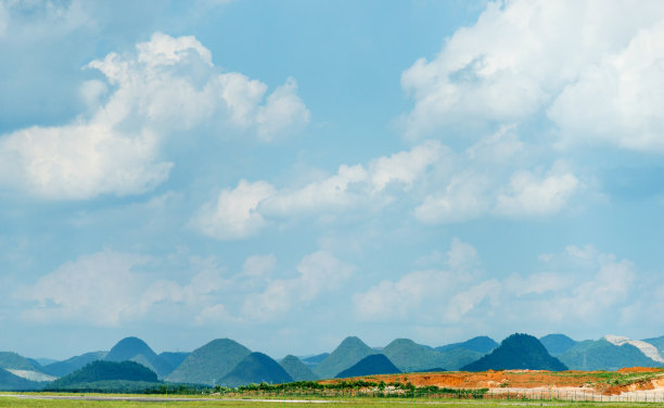 高山脉树林