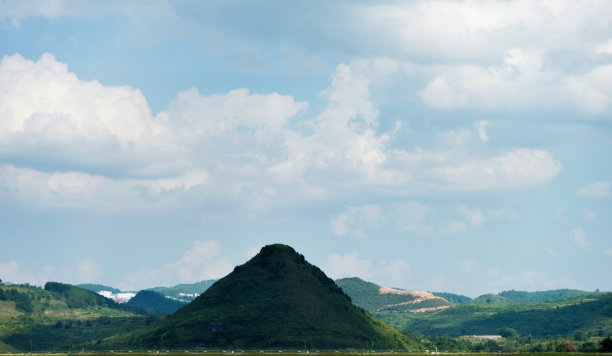 高山脉树林