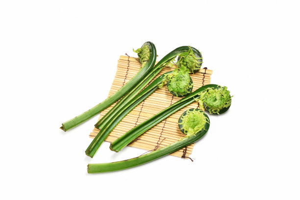 fiddlehead