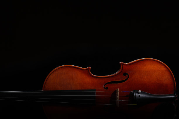 violin
