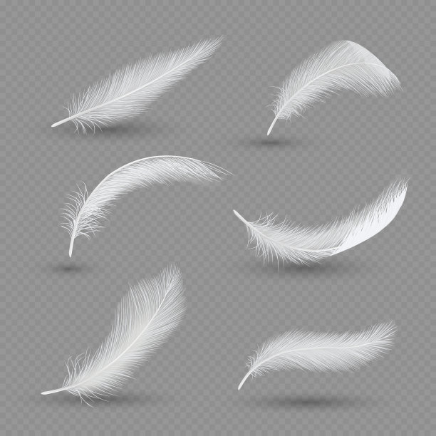 feathers
