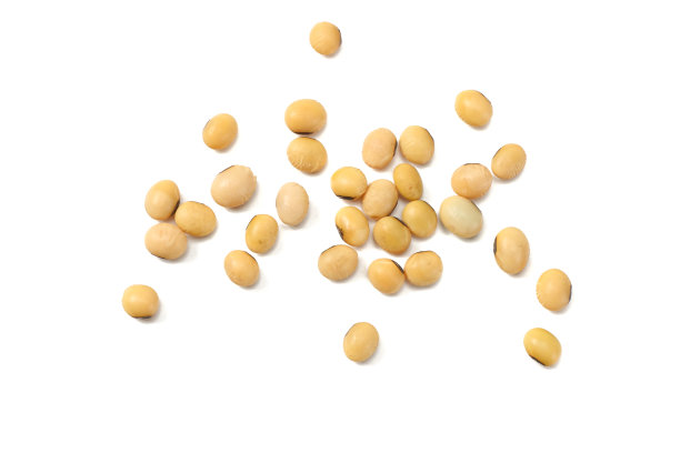 成熟的大豆