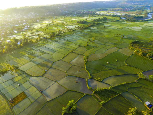agricultural