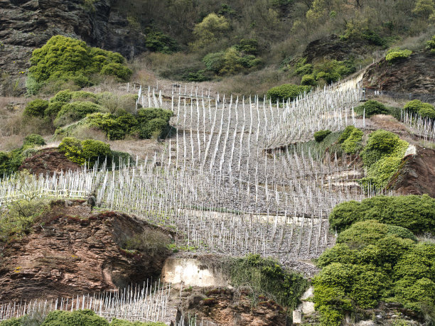 摩泽尔河