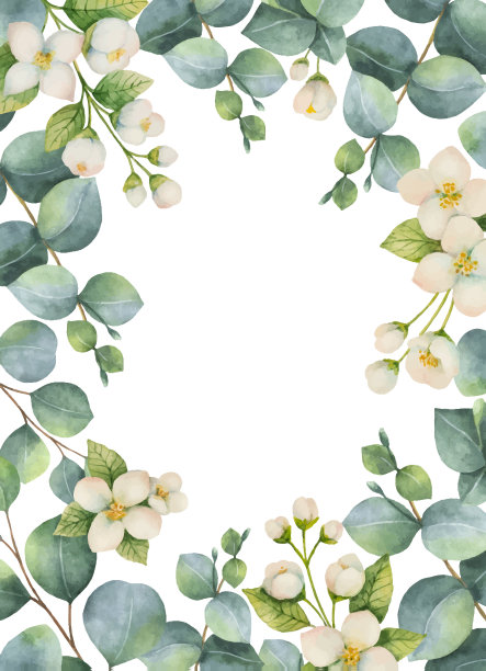 藏红花草药插画