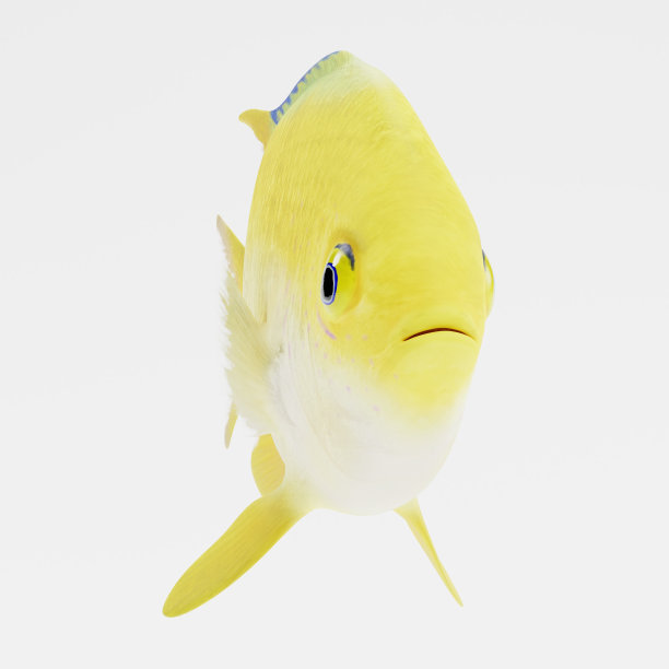 金珊瑚