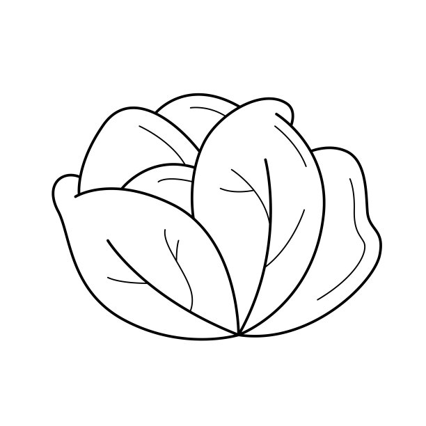 卡通风格的圆白菜插画