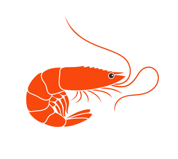 shrimps