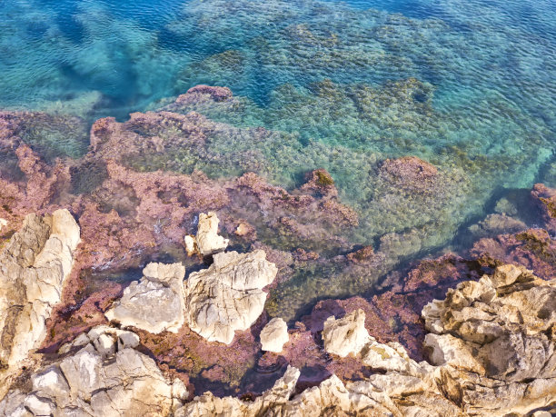岩石礁石