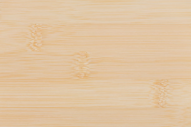 阔叶树
