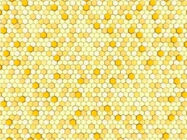 蜂蜜孔