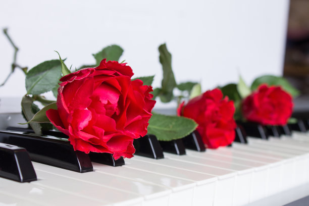 花与钢琴