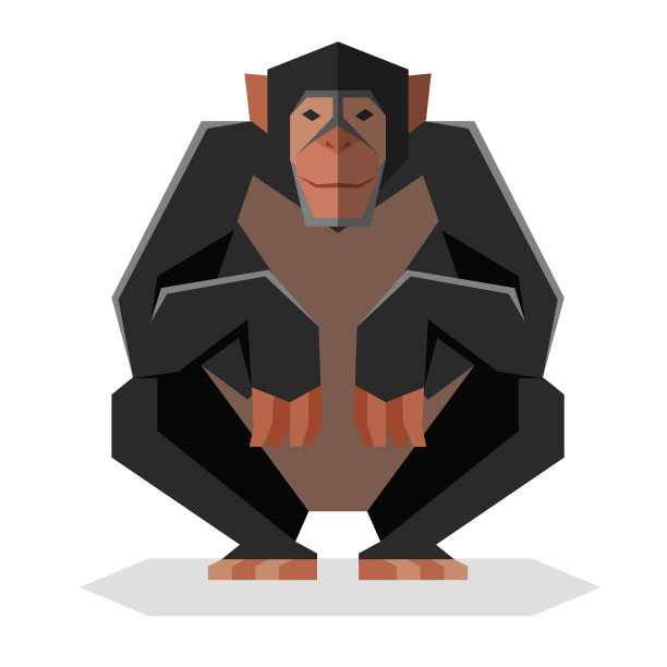 pongo